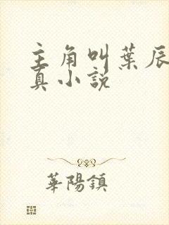 主角叫叶辰的修真小说