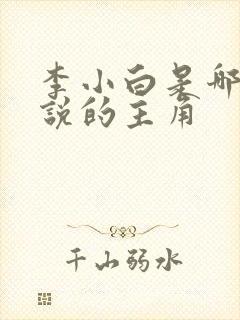 李小白是哪部小说的主角