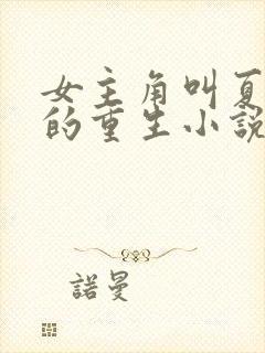 女主角叫夏书瑶的重生小说