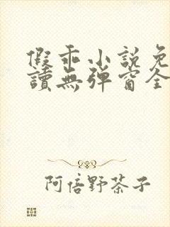 假乖小说免费阅读无弹窗全文