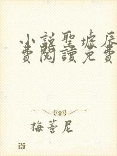 小说圣墟辰东免费阅读免费