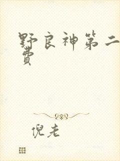 野良神第二季免费