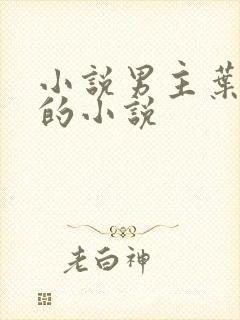 小说男主叶天明的小说