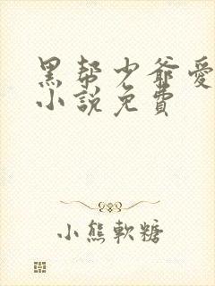 黑帮少爷爱上我小说免费