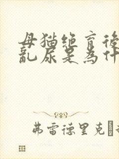 母猫绝育后还会乱尿是为什么