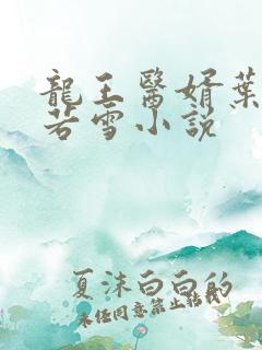 龙王医婿叶凡唐若雪小说