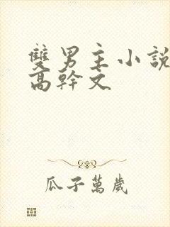 双男主小说推荐高干文