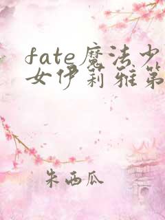 fate魔法少女伊莉雅第一季