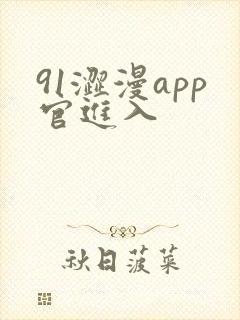 91涩漫app官进入