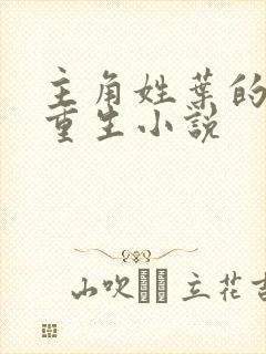 主角姓叶的末世重生小说