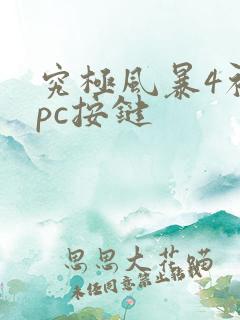 究极风暴4初始pc按键