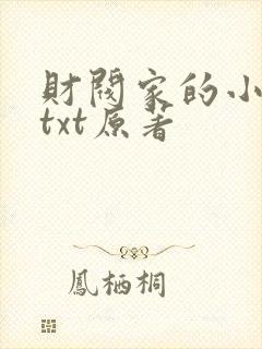 财阀家的小儿子txt原著