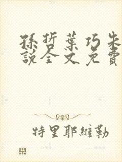 孙哲叶巧朱颜小说全文免费阅读