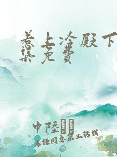 惹上冷殿下30集免费