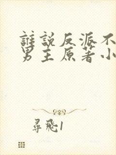 谁说反派不能当男主原著小说