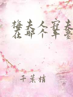 梅夫人宠夫日常在哪个平台