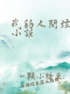 我的人间烟火 小说