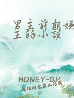 男主前期嫌弃女主的小说