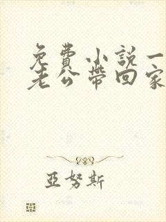 免费小说一国民老公带回家