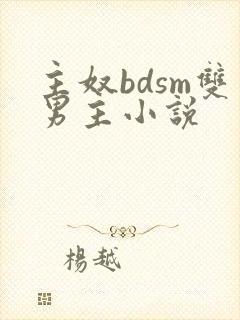 主奴bdsm双男主小说