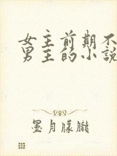 女主前期不喜欢男主的小说