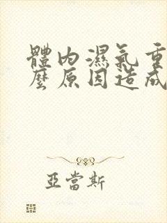 体内湿气重是什么原因造成的女性