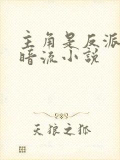 主角是反派的黑暗流小说