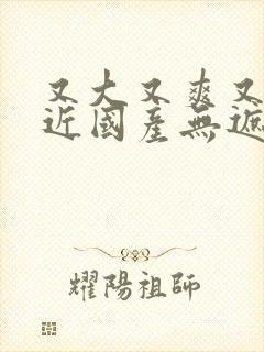 又大又爽又黄又近国产无遮挡