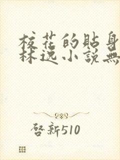 校花的贴身高手林逸小说无弹窗全文免费阅读