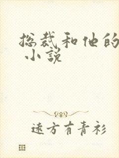 总裁和他的秘书 小说