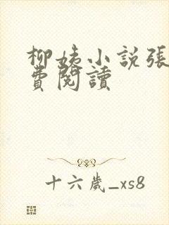 柳姨小说张浩免费阅读