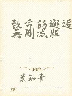 致命的邂逅电影无删减版