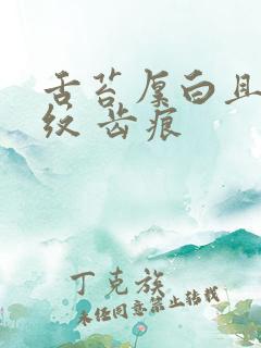 舌苔厚白且有裂纹 齿痕