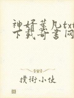 神婿叶凡txt下载奇书网