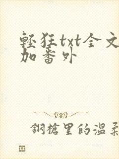 轻狂txt全文加番外
