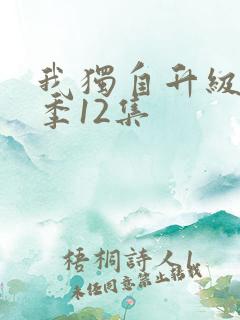 我独自升级第二季12集