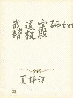 武道宗师txt精校版
