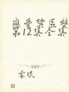 恋爱禁区双男主第12集全集在线观看电视剧