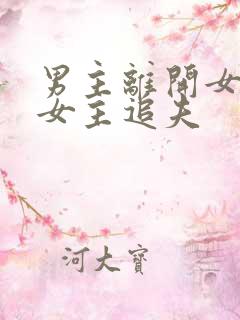 男主离开女主,女主追夫