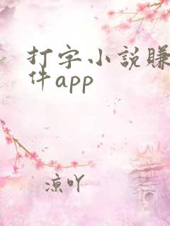 打字小说赚钱软件app
