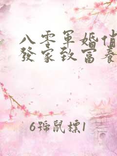 八零军婚俏军嫂发家致富养崽崽