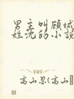 男主叫顾城女主姓沈的小说