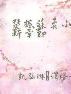 楚枫苏柔小说最新章节