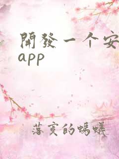 开发一个安卓的app