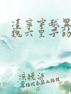 凌宁穿越异魂大魏六皇子的小说