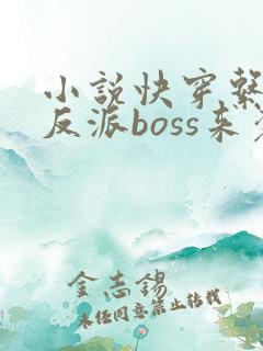 小说快穿系统之反派boss来袭txt