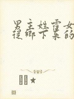 男主姓霍女主是从乡下来的小说