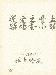 逆袭之爱上情敌柴鸡蛋小说txt下载