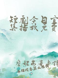 短剧今日宜婚全集播放免费观看