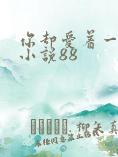 你却爱着一个他小说88